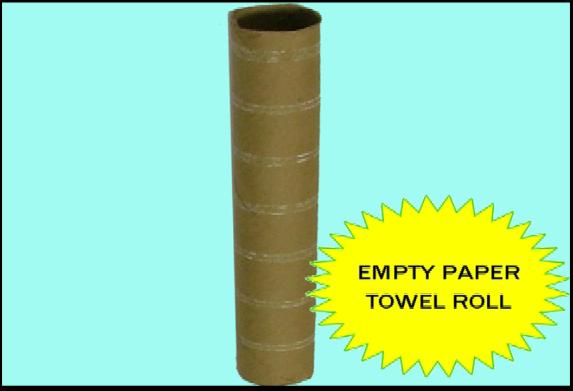 Empty Paper Towel Roll